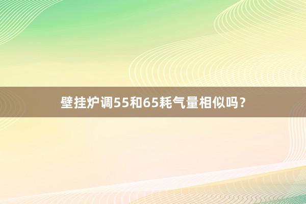 壁挂炉调55和65耗气量相似吗？