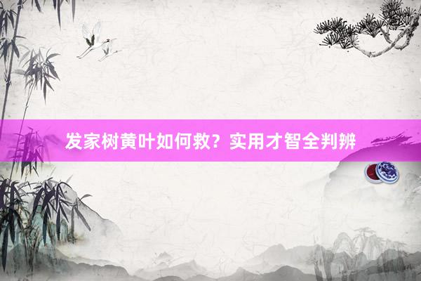发家树黄叶如何救？实用才智全判辨